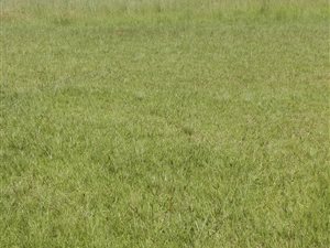 1000 m² Land available in Amajuba Park