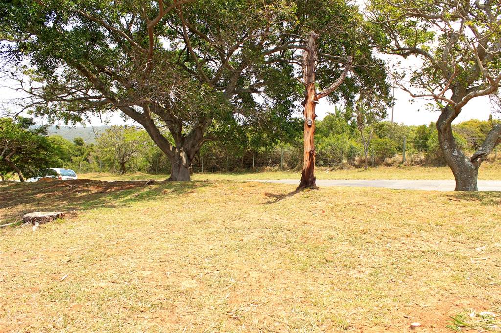 841 m² Land available in Cintsa photo number 8