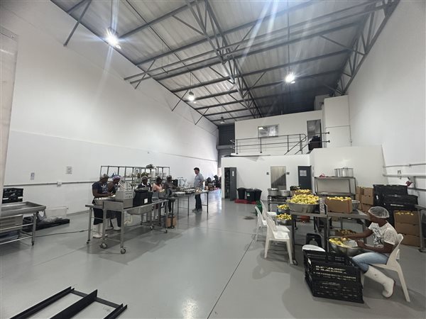 293  m² Industrial space