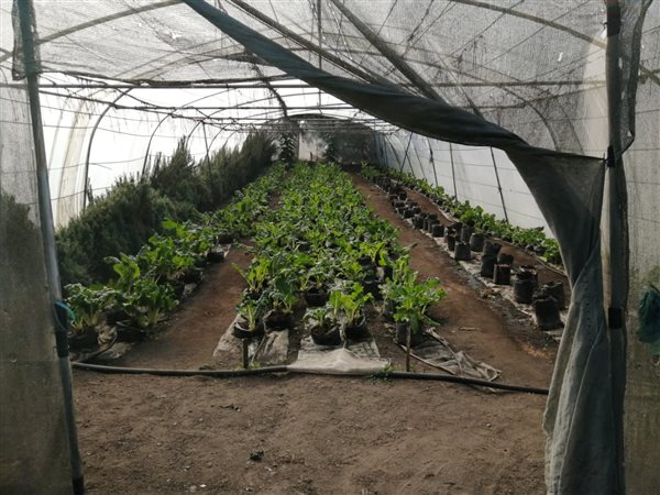 1.6 ha Farm in Umkomaas