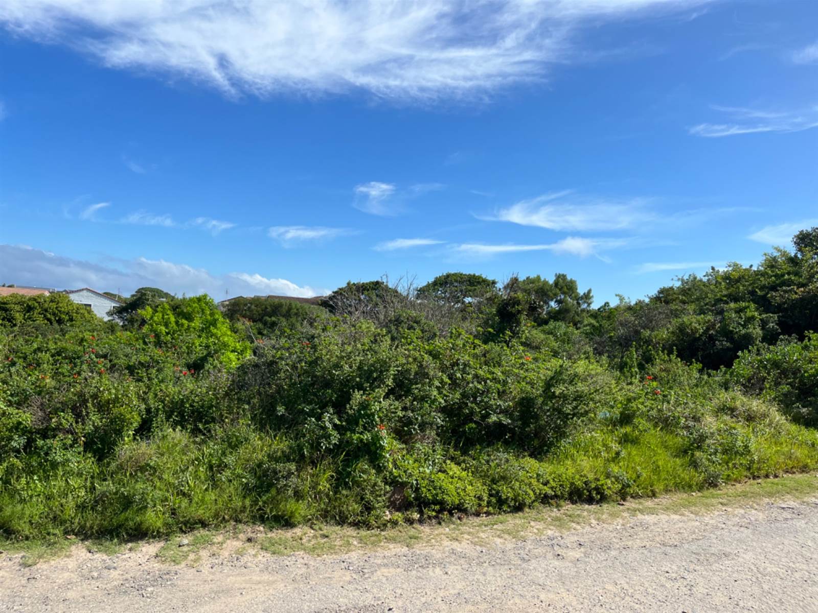 3542 m² Land available in Boesmansriviermond photo number 17