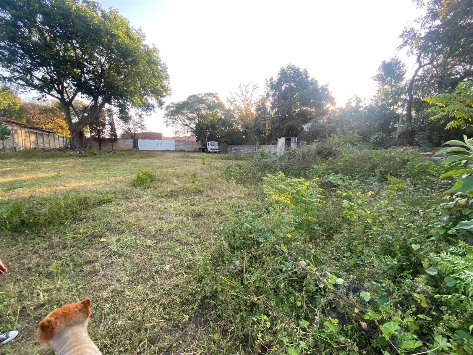 4018 m² Land available in Ferndale photo number 5