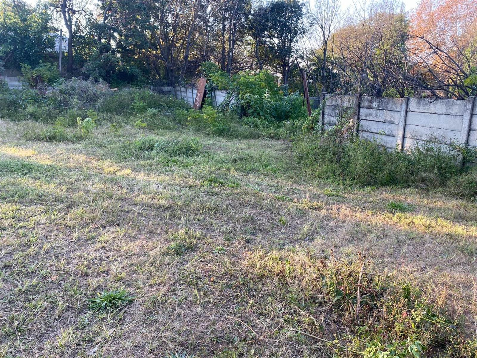 4018 m² Land available in Ferndale photo number 6