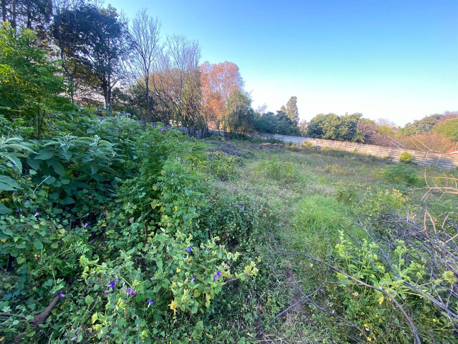 4018 m² Land available in Ferndale photo number 9