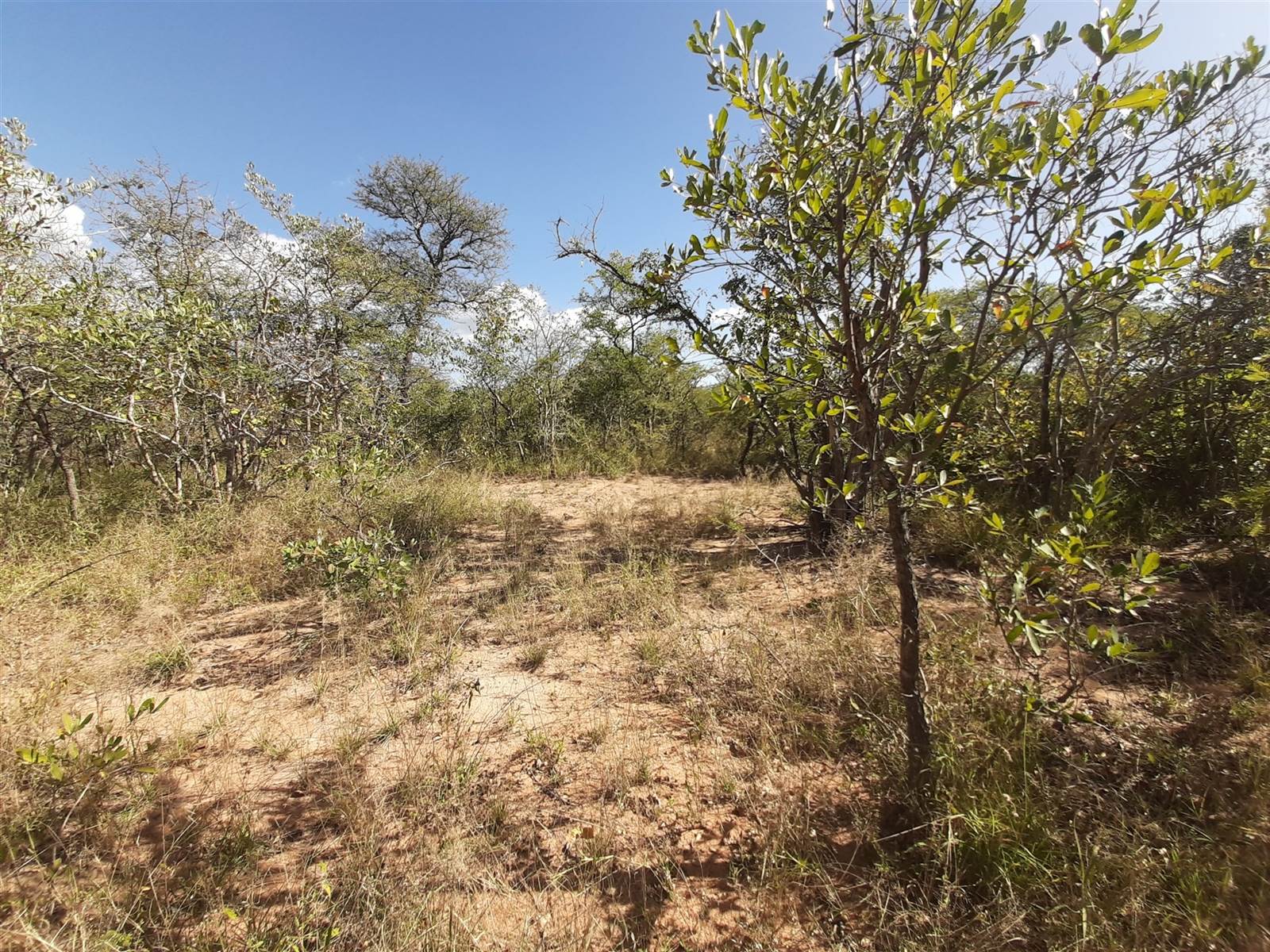 1 ha Land available in Moditlo Nature Reserve photo number 3