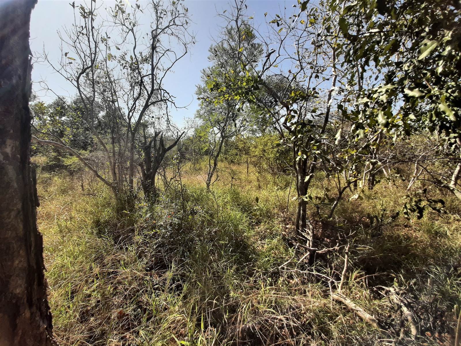 1 ha Land available in Moditlo Nature Reserve photo number 8