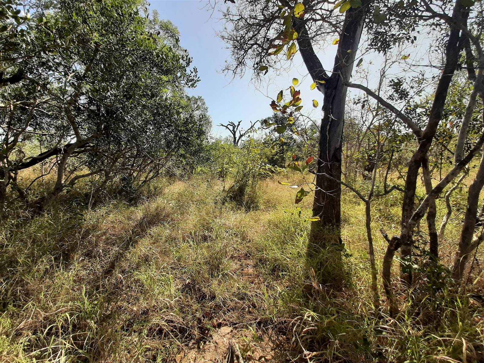1 ha Land available in Moditlo Nature Reserve photo number 6
