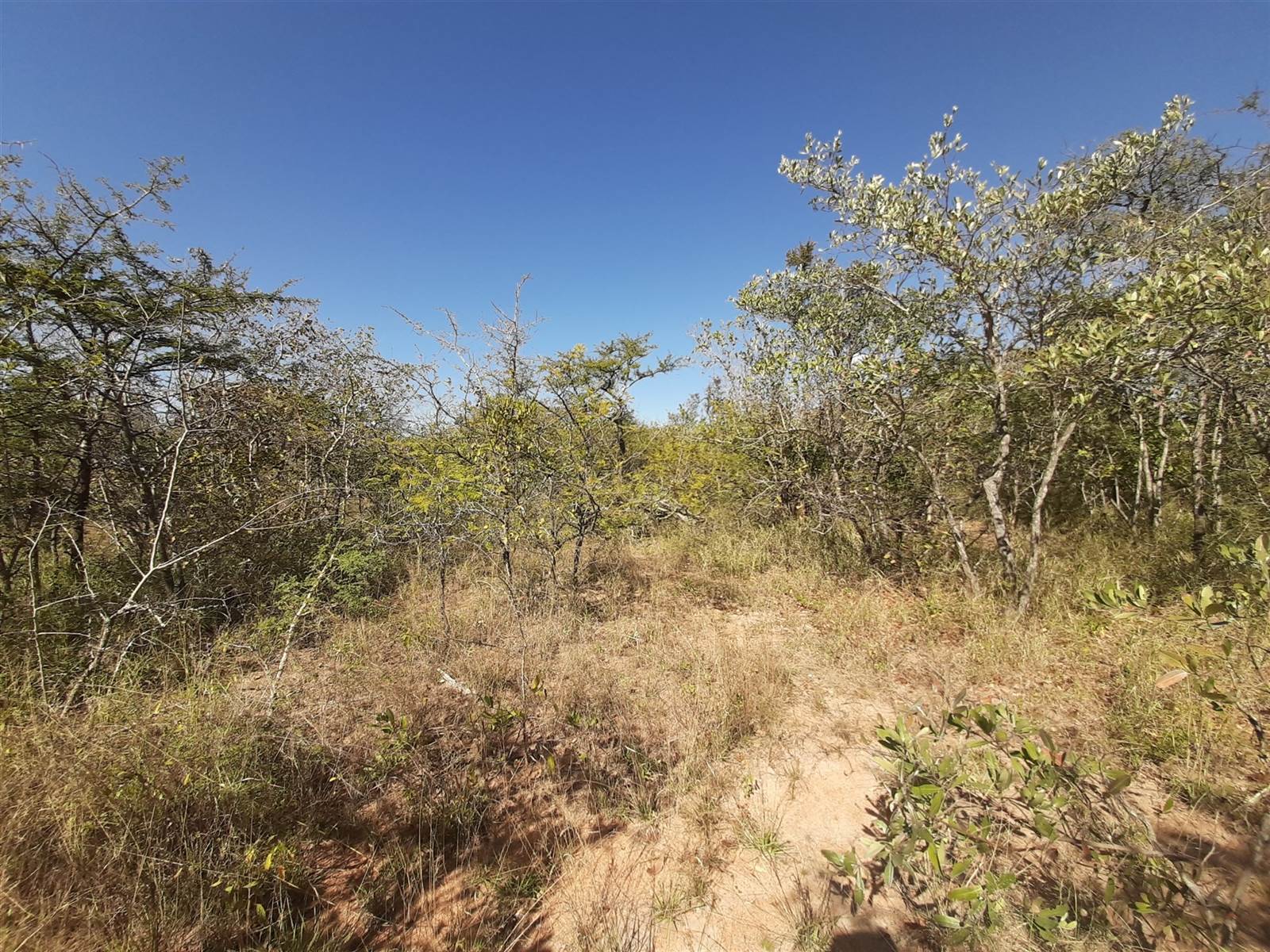 1 ha Land available in Moditlo Nature Reserve photo number 9