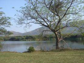 1.1 ha Land available in Kshane Lake Lodge photo number 9