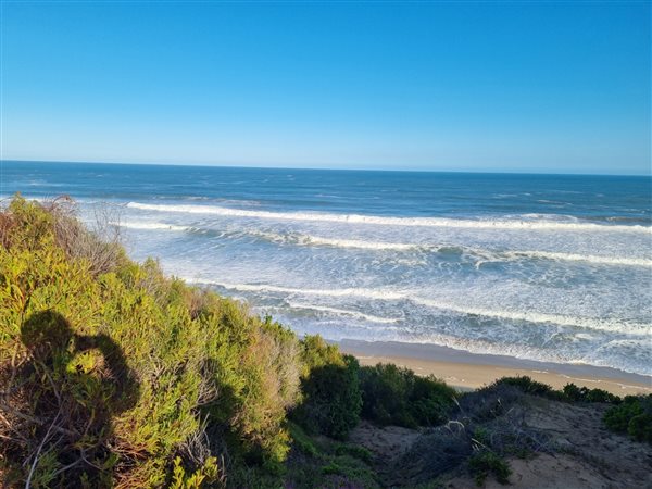 1 446 m² Land 1 446 m² Land