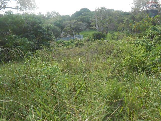 2156 m² Land available in Sea Park photo number 6