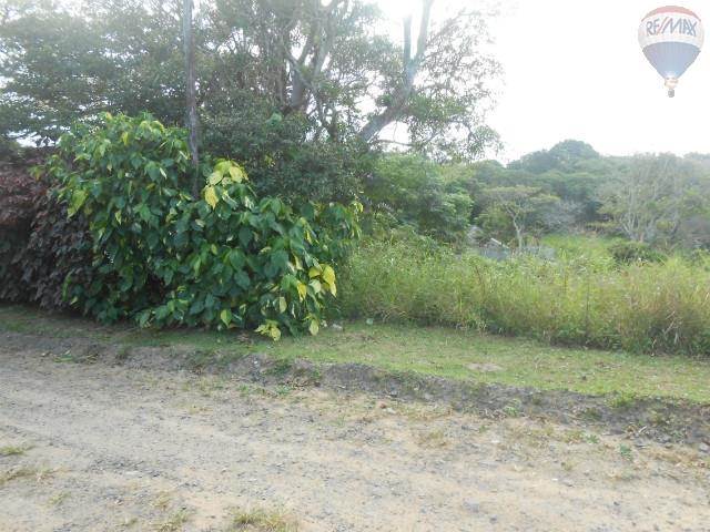 2156 m² Land available in Sea Park photo number 5