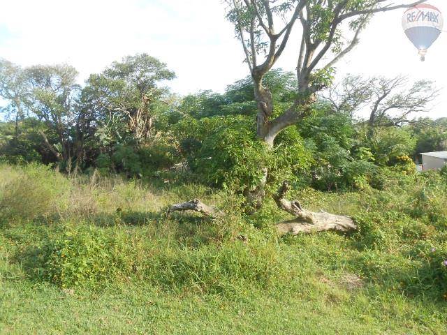 2156 m² Land available in Sea Park photo number 8