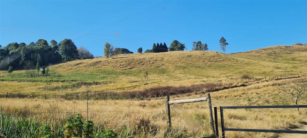 22.7 ha Smallholding in Howick photo number 11