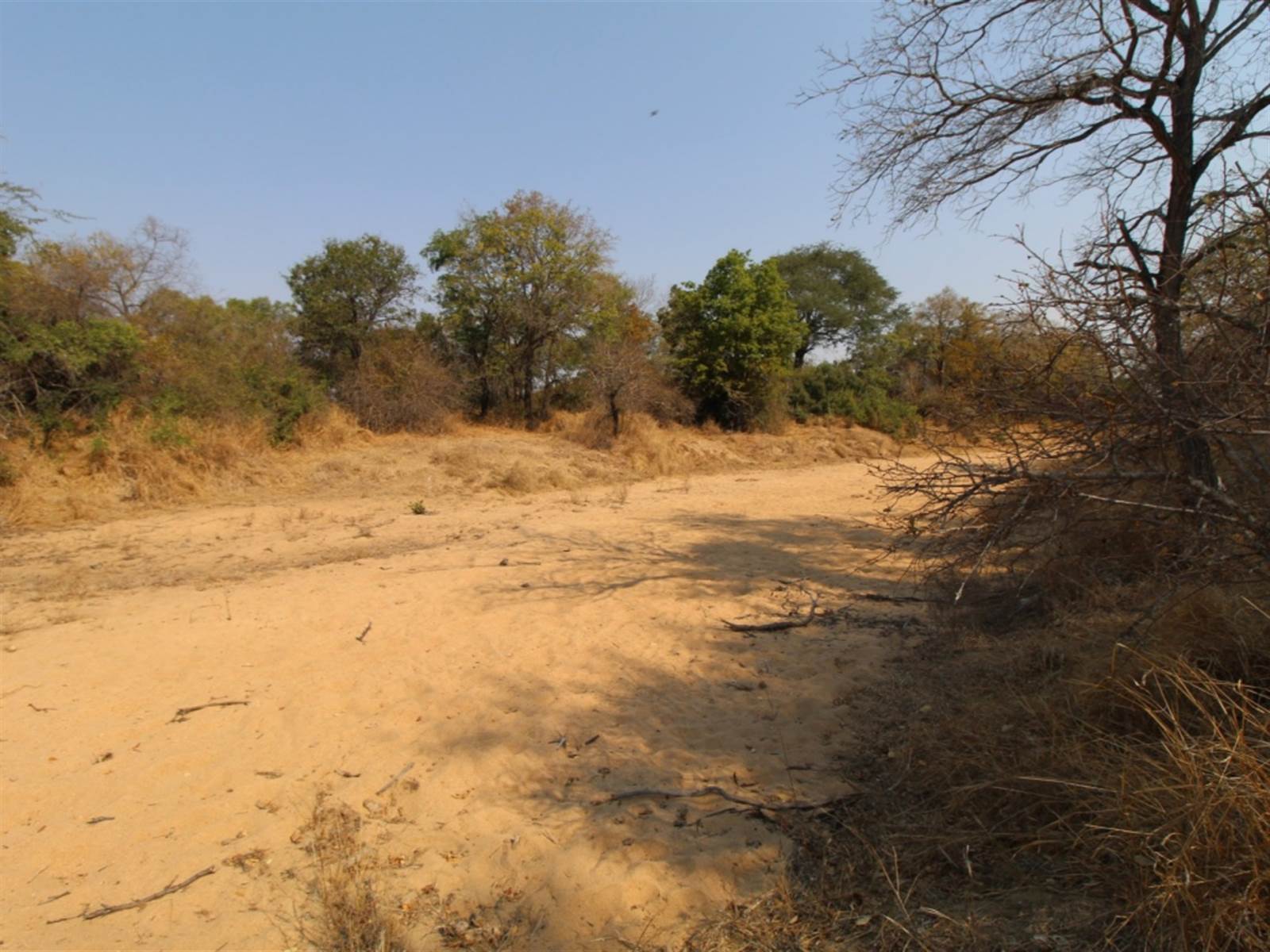 9031 m² Land available in Moditlo Nature Reserve photo number 4