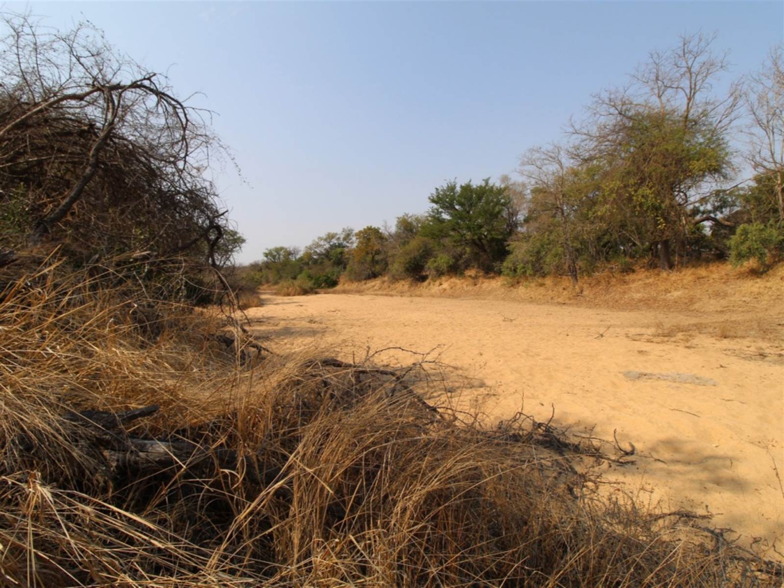 9031 m² Land available in Moditlo Nature Reserve photo number 2