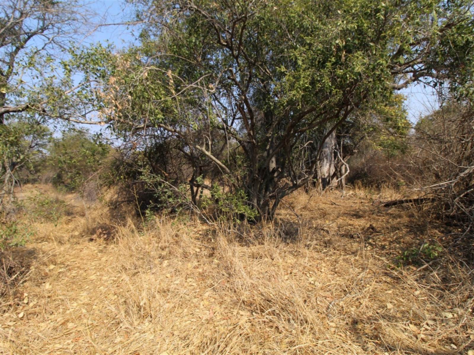 9031 m² Land available in Moditlo Nature Reserve photo number 8