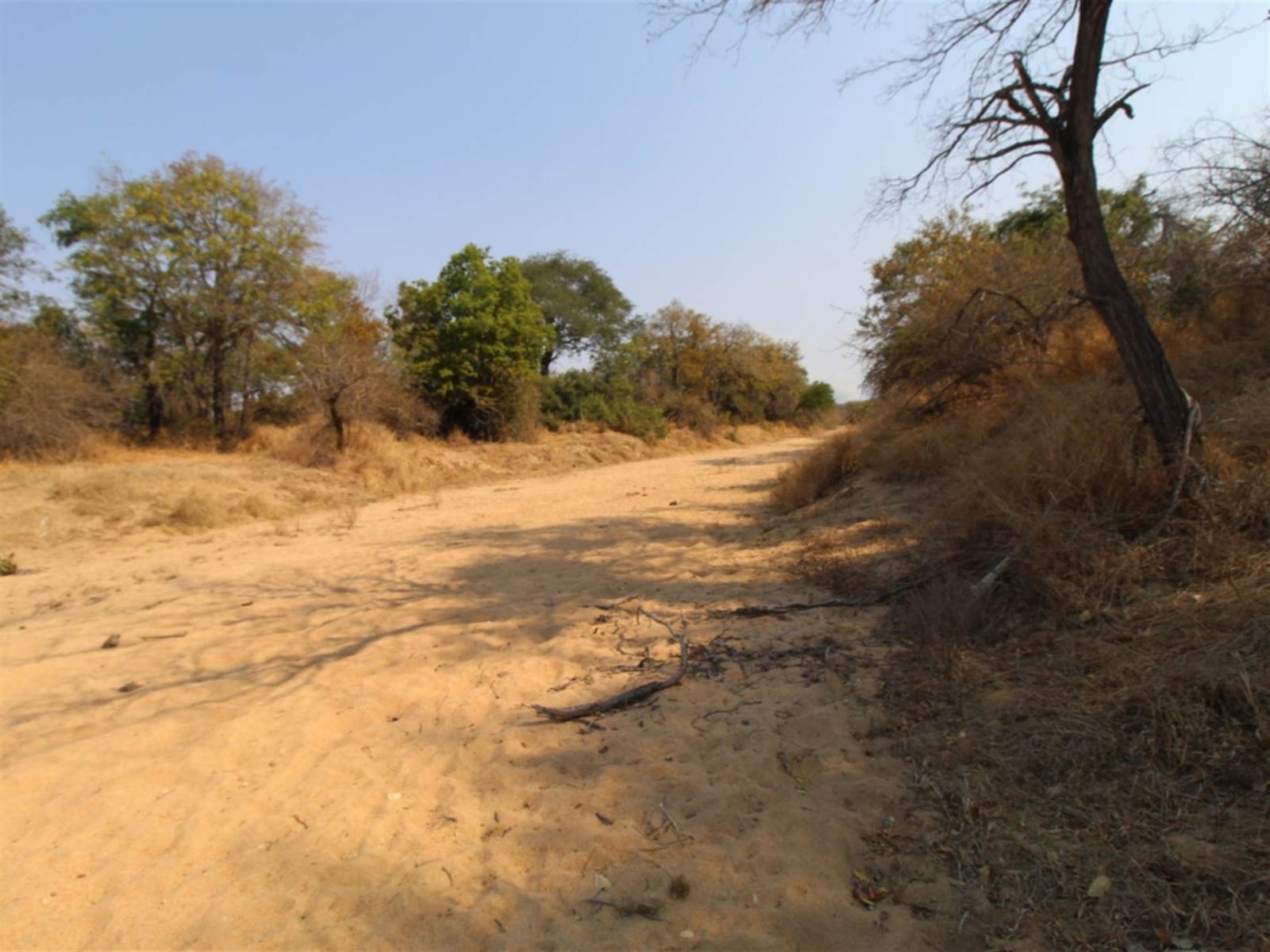 9031 m² Land available in Moditlo Nature Reserve photo number 5