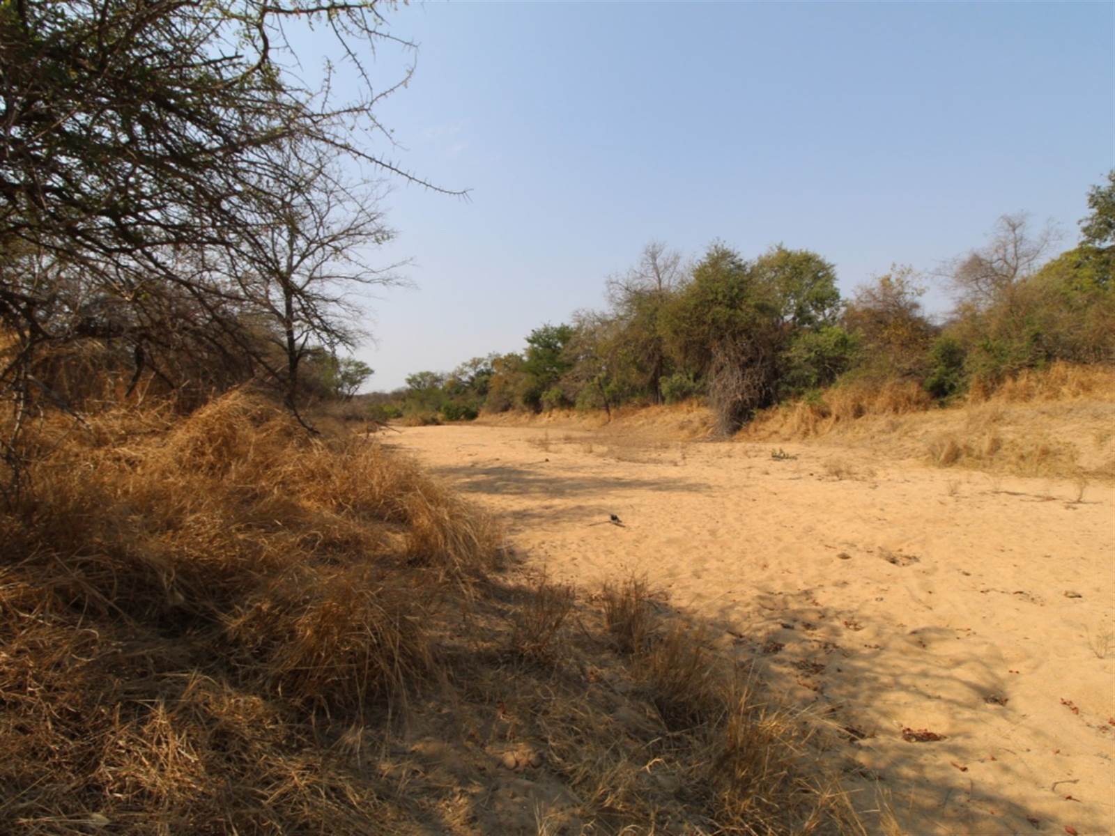 9031 m² Land available in Moditlo Nature Reserve photo number 1