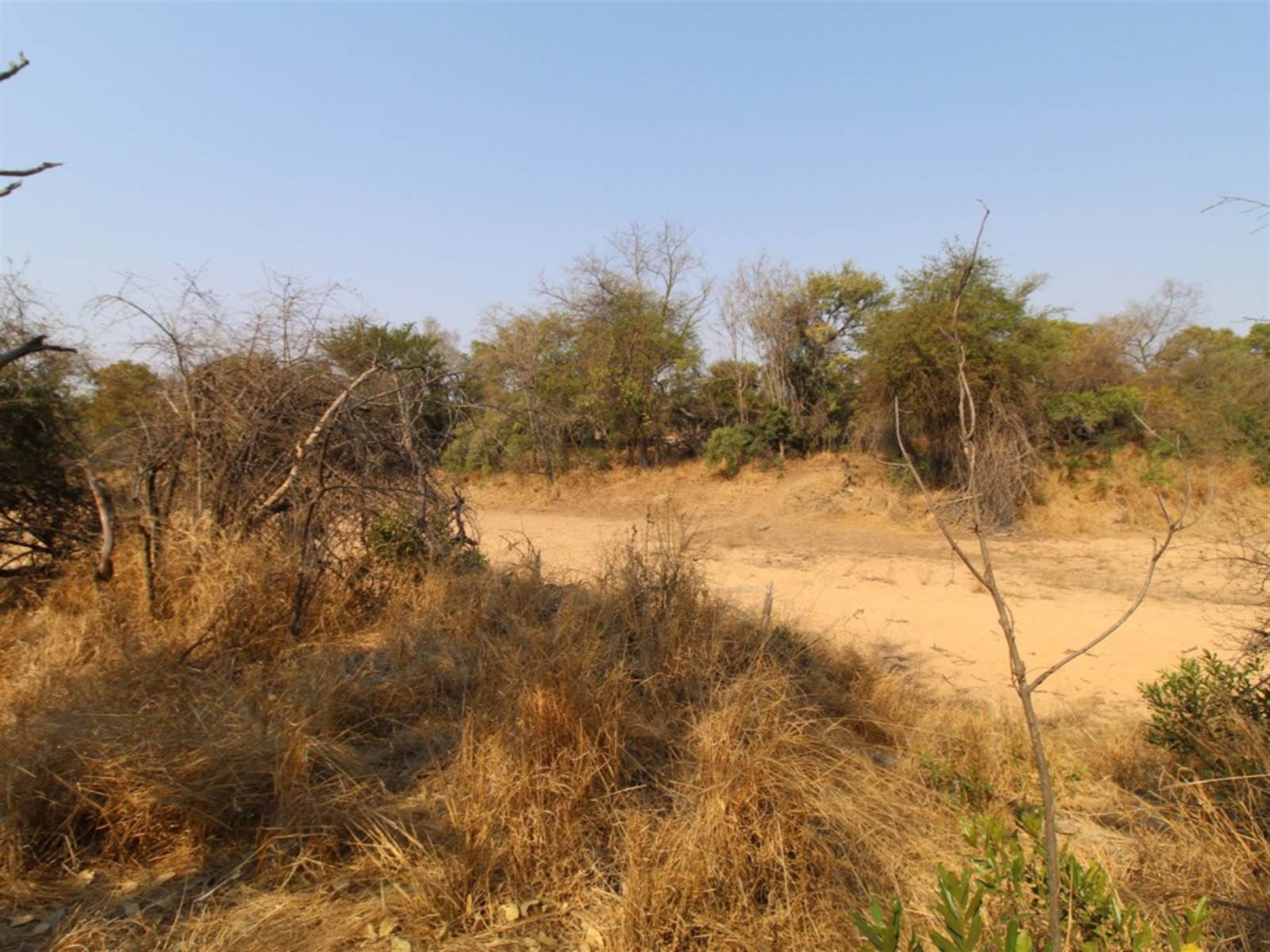 9031 m² Land available in Moditlo Nature Reserve photo number 3