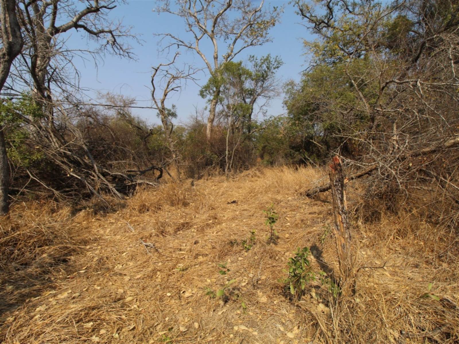 9031 m² Land available in Moditlo Nature Reserve photo number 10