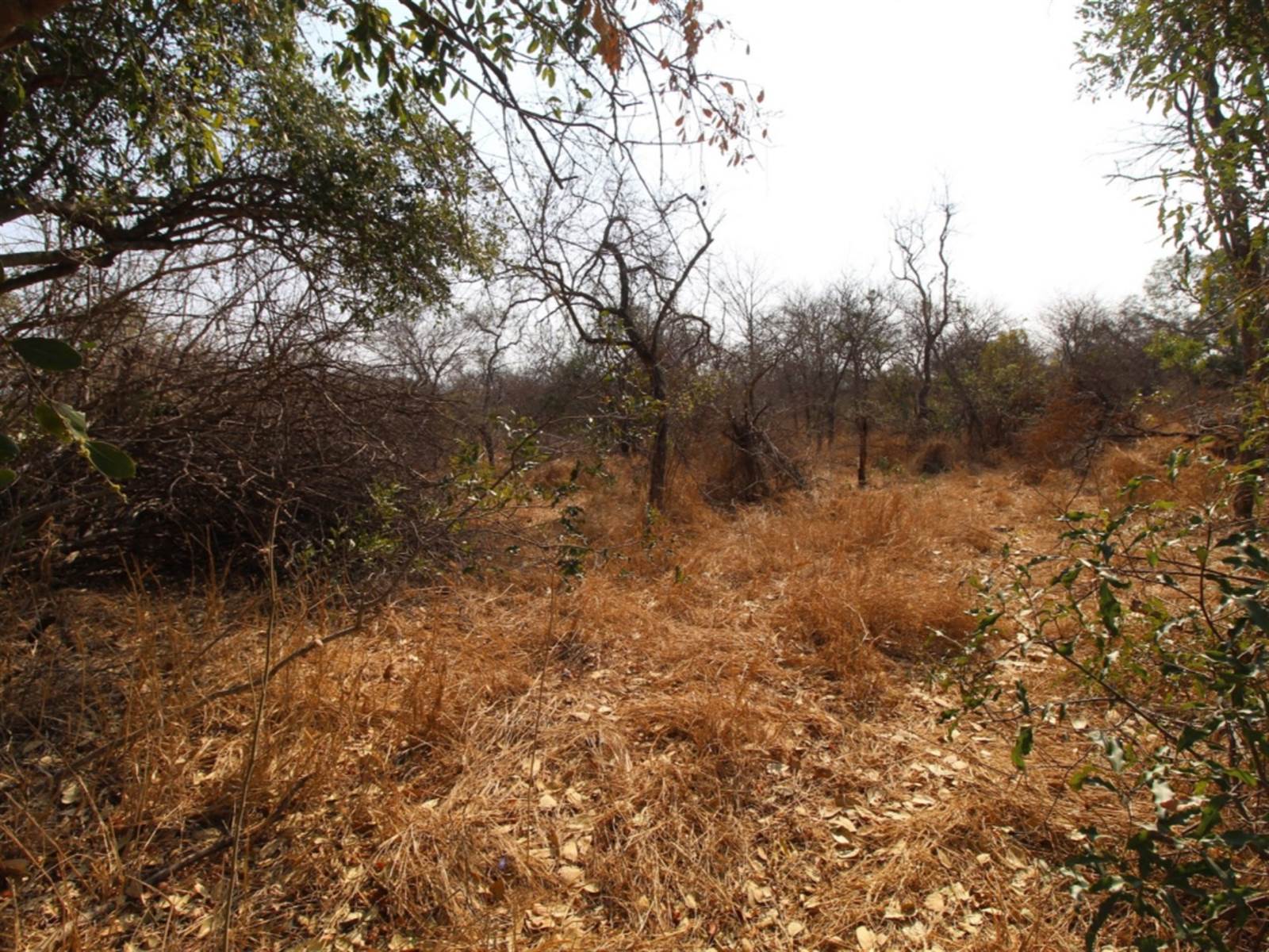 9031 m² Land available in Moditlo Nature Reserve photo number 6