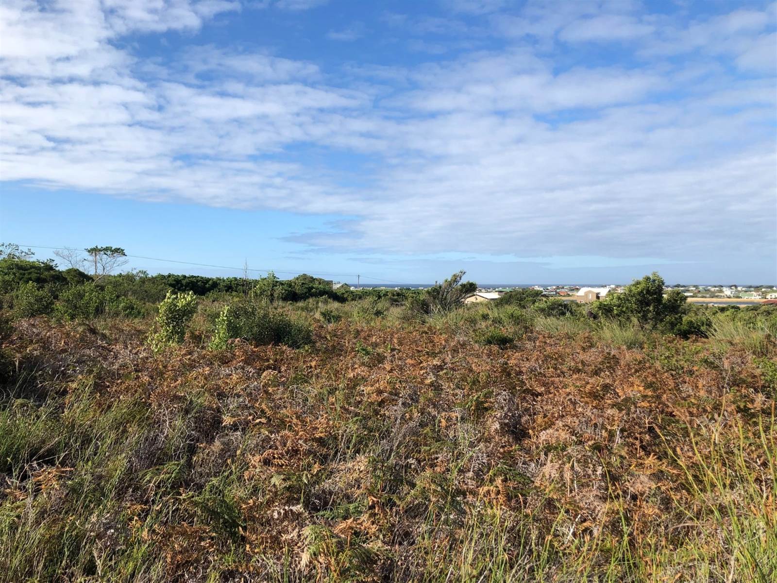 7731 m² Land available in Bettys Bay photo number 6