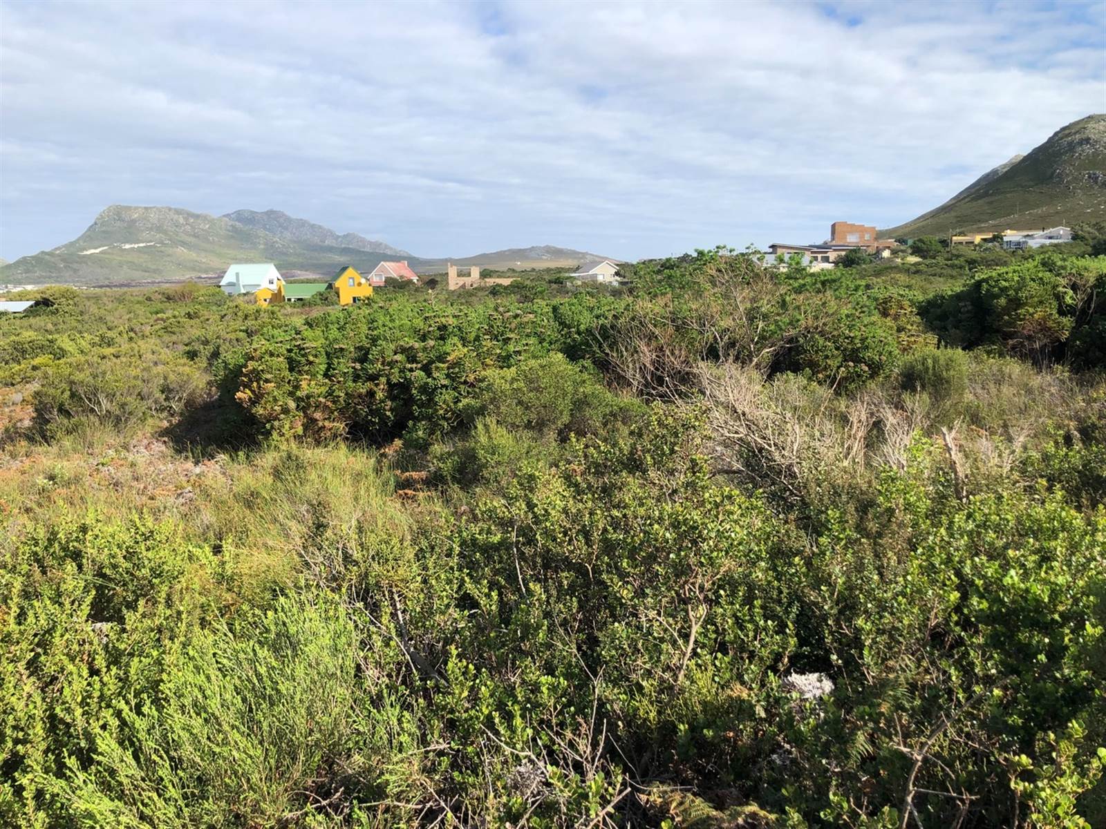 7731 m² Land available in Bettys Bay photo number 7