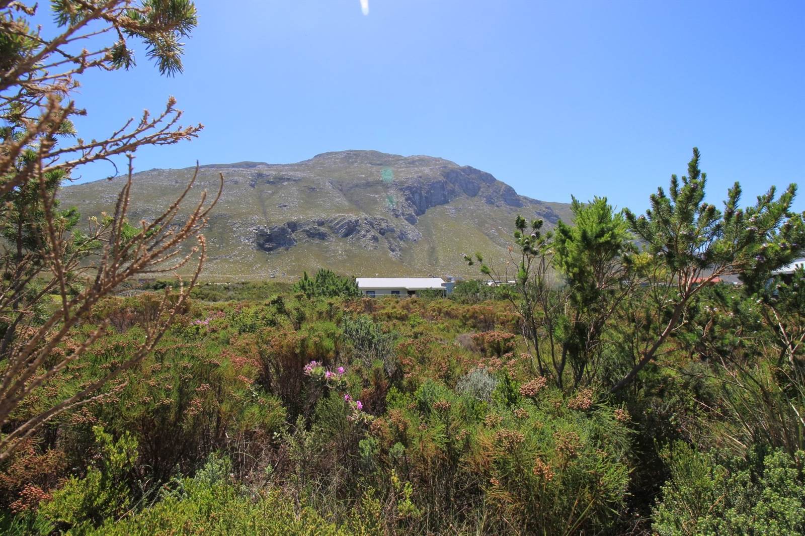 1034 m² Land available in Bettys Bay photo number 2