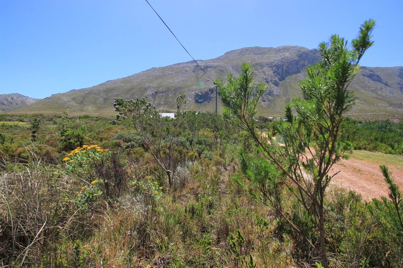 1034 m² Land available in Bettys Bay photo number 13