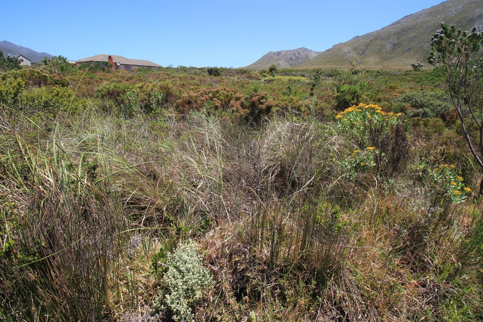 1034 m² Land available in Bettys Bay photo number 11