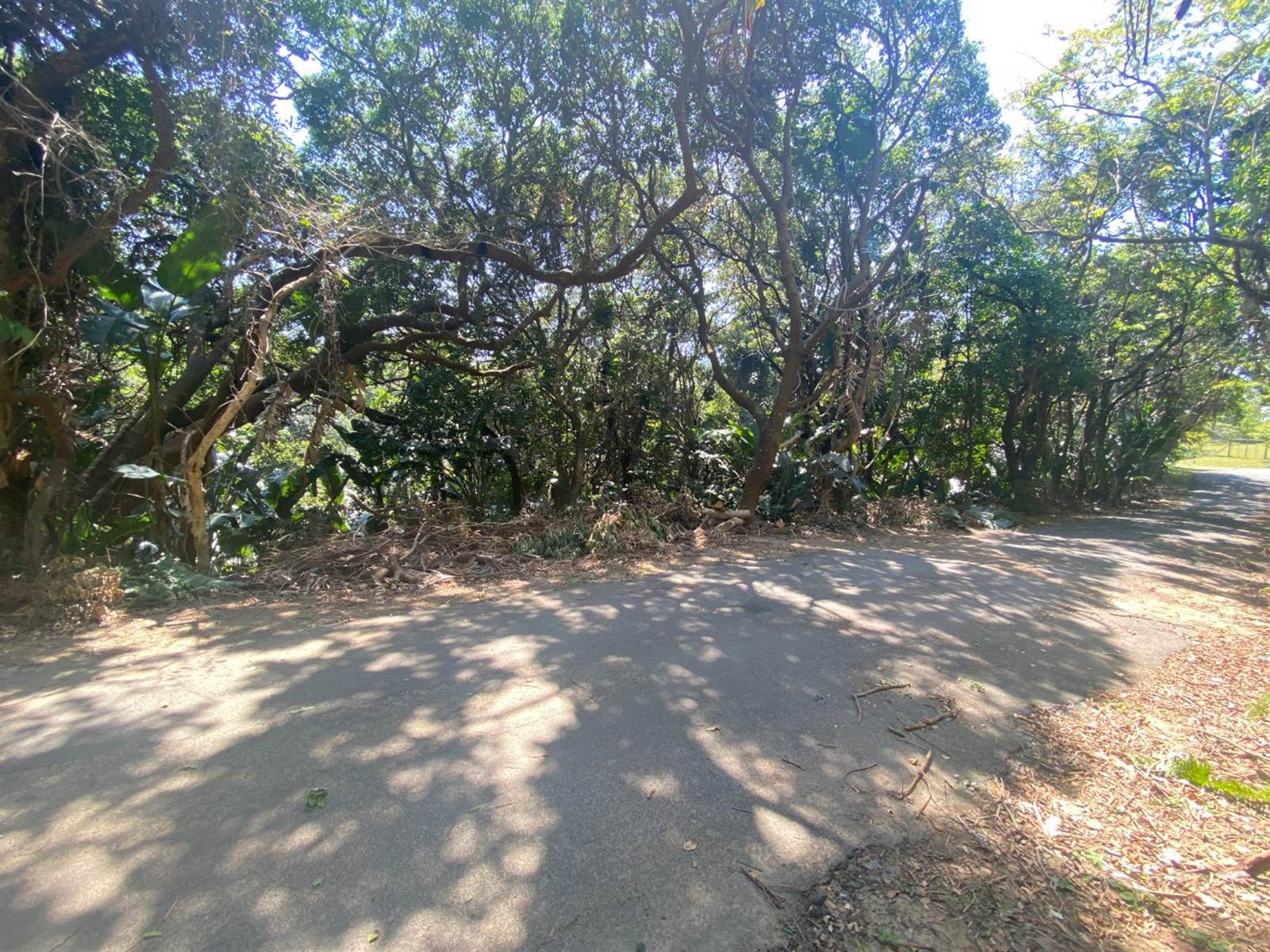 4891 m² Land available in Southbroom photo number 4