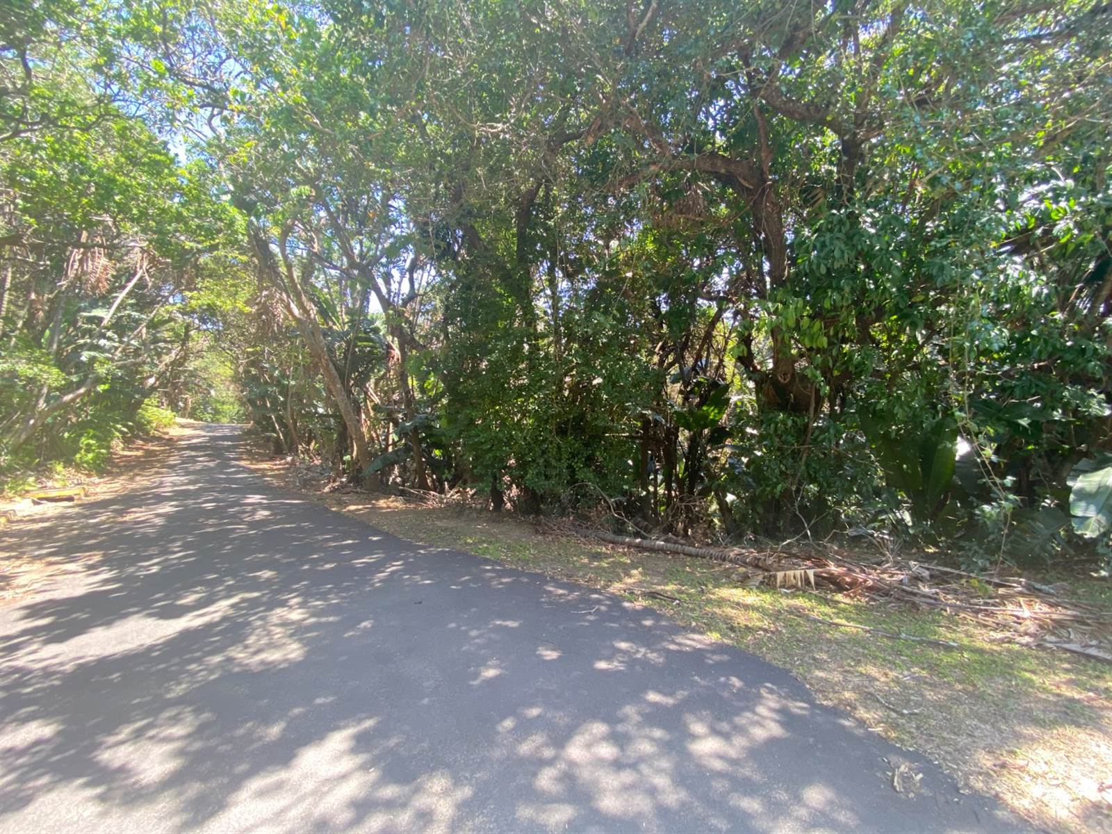 4891 m² Land available in Southbroom photo number 3