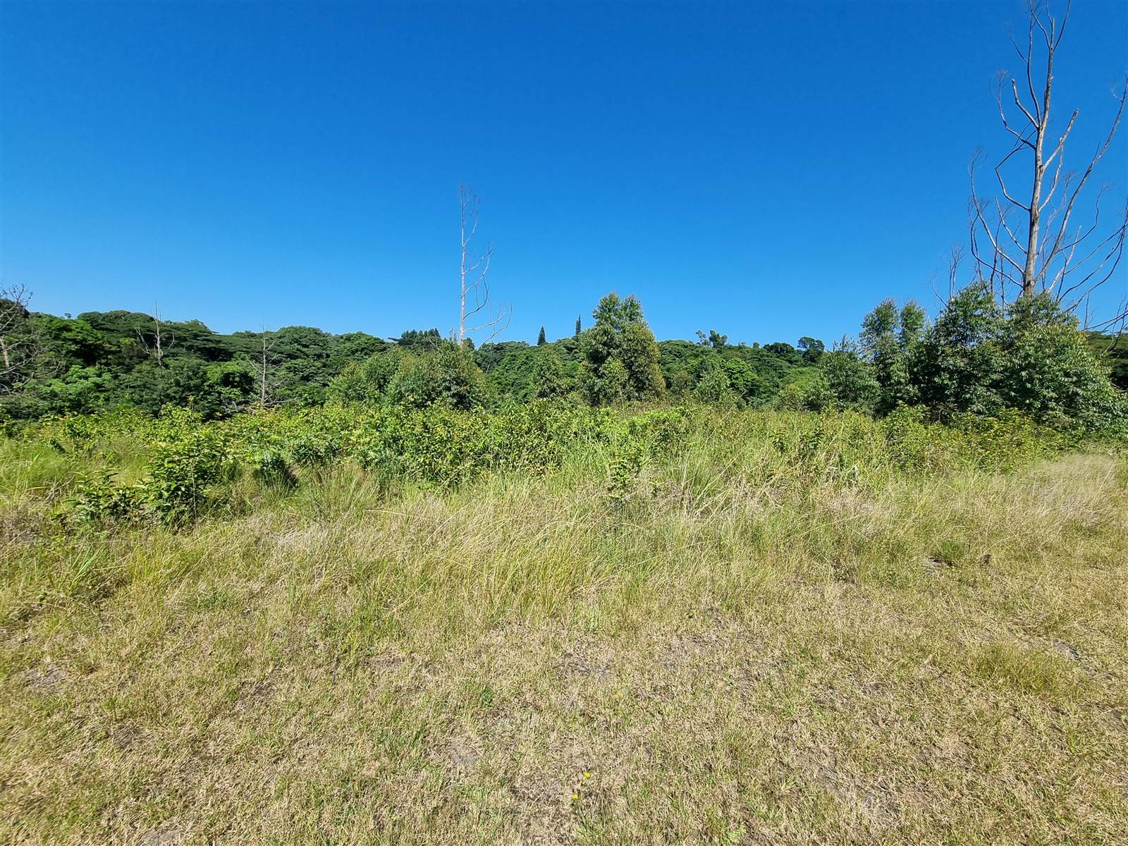 1309 m² Land available in Eshowe photo number 5