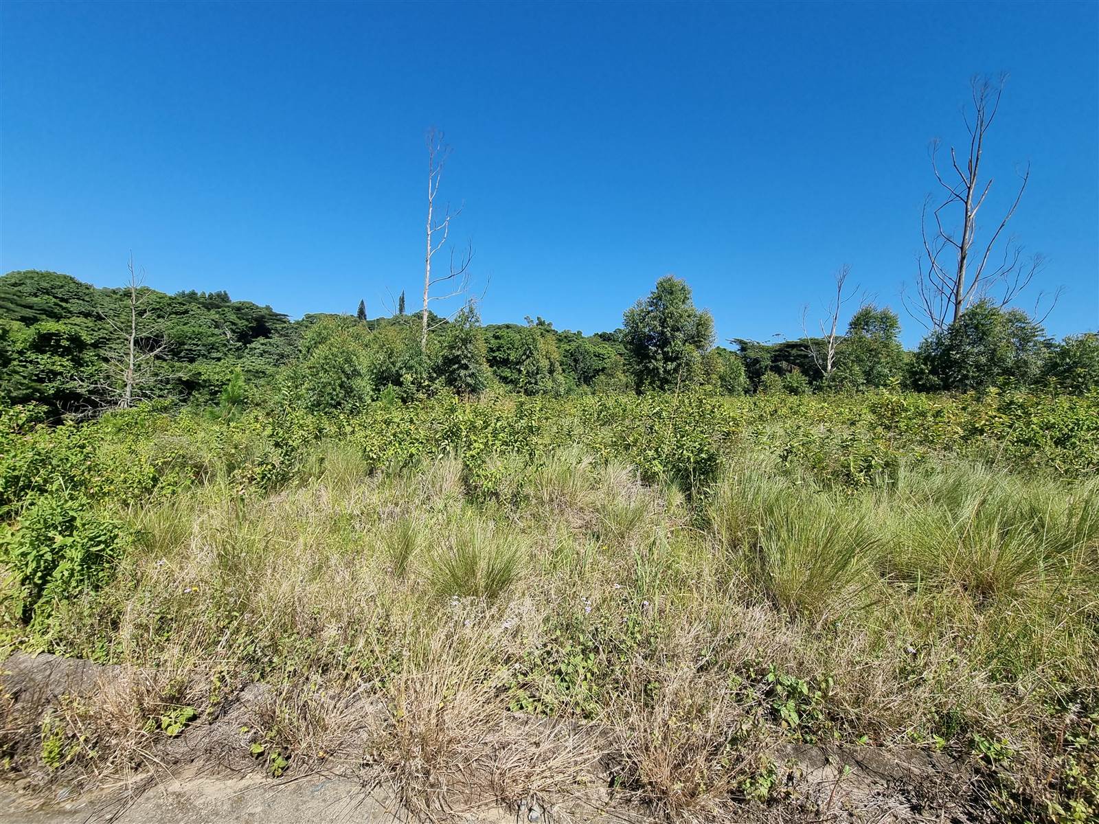 1309 m² Land available in Eshowe photo number 4