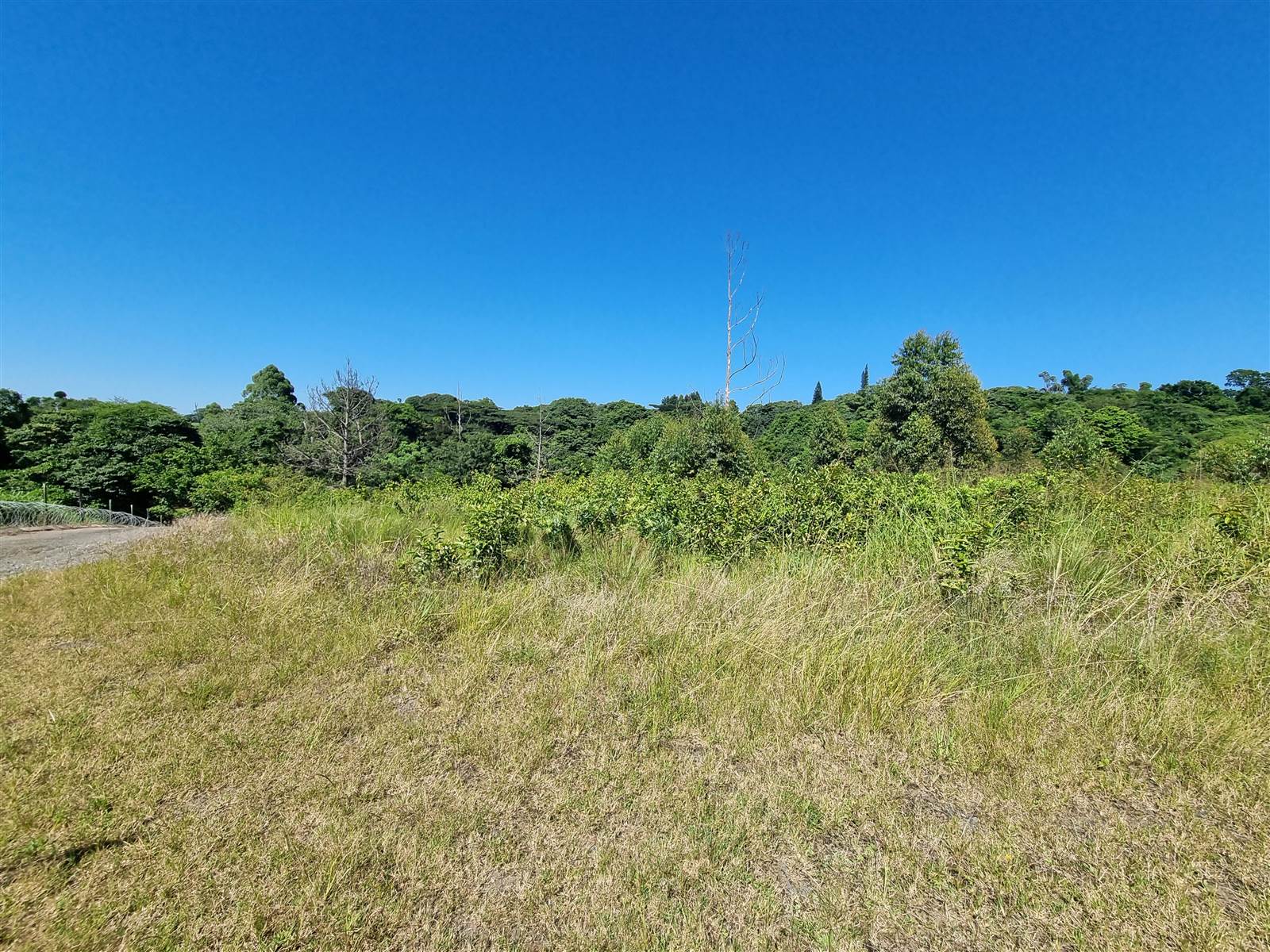 1309 m² Land available in Eshowe photo number 6