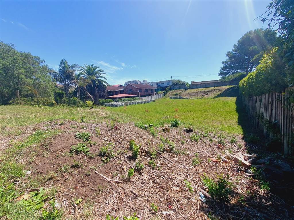 1115 m² Land available in Sedgefield photo number 1
