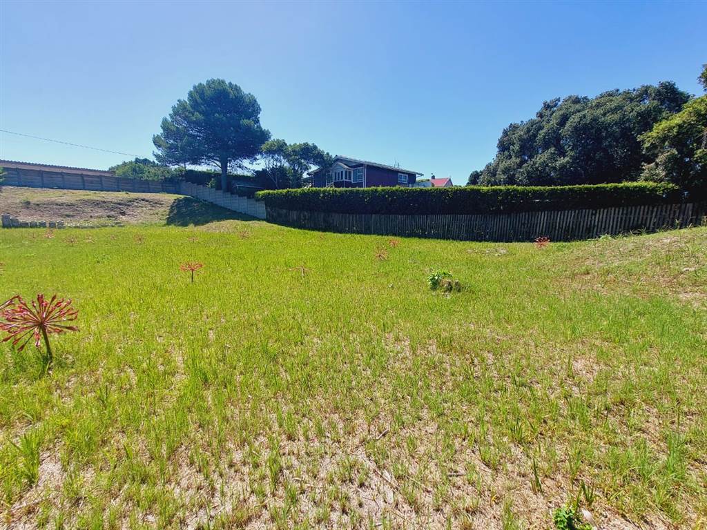 1115 m² Land available in Sedgefield photo number 7
