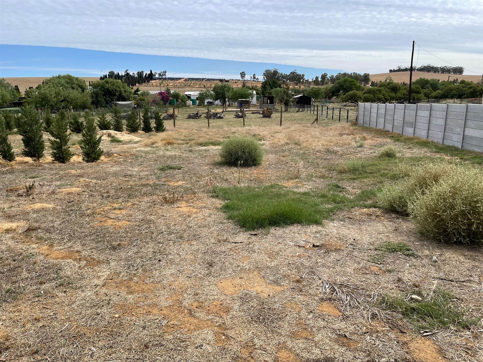 1980 m² Land available in Citrusdal photo number 4