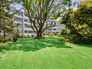 3 Bed Apartment in Melrose