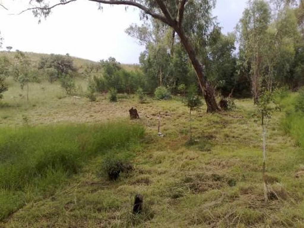 1002 m² Land available in Cullinan photo number 7