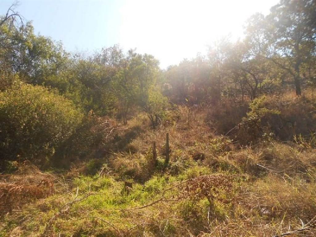1002 m² Land available in Cullinan photo number 5