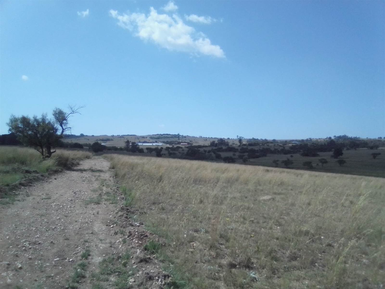 20 ha Land available in Laezonia photo number 5