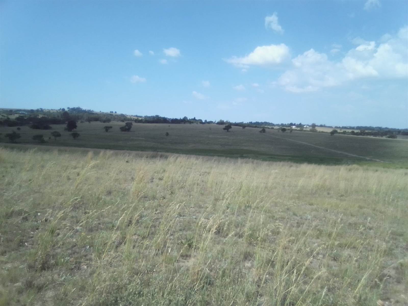 20 ha Land available in Laezonia photo number 1