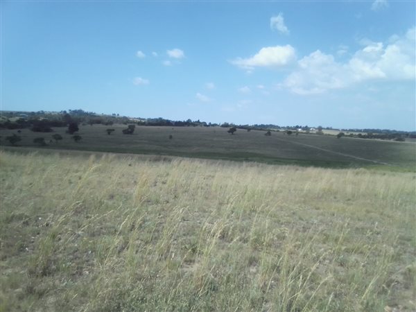 20 ha Land