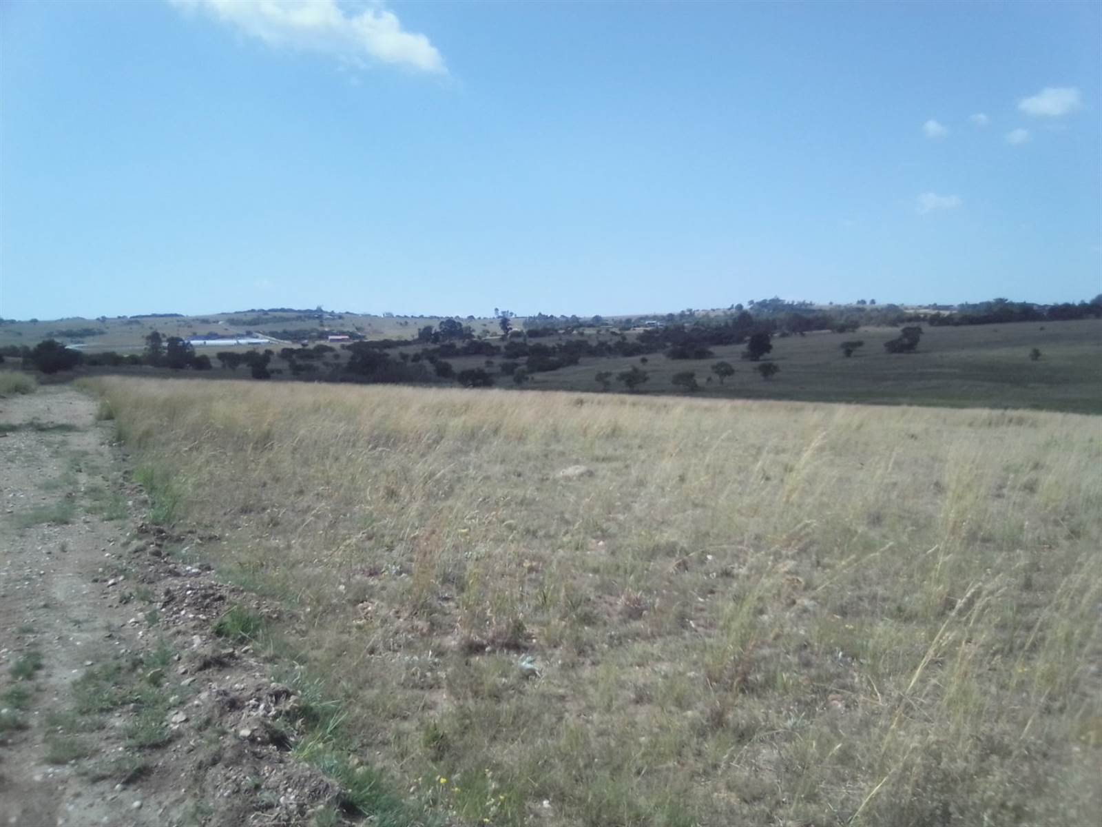 20 ha Land available in Laezonia photo number 4