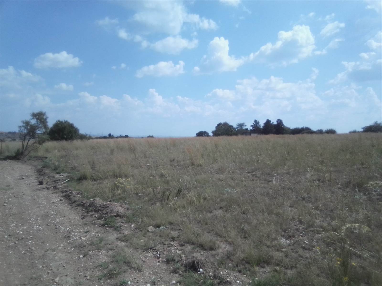 20 ha Land available in Laezonia photo number 9