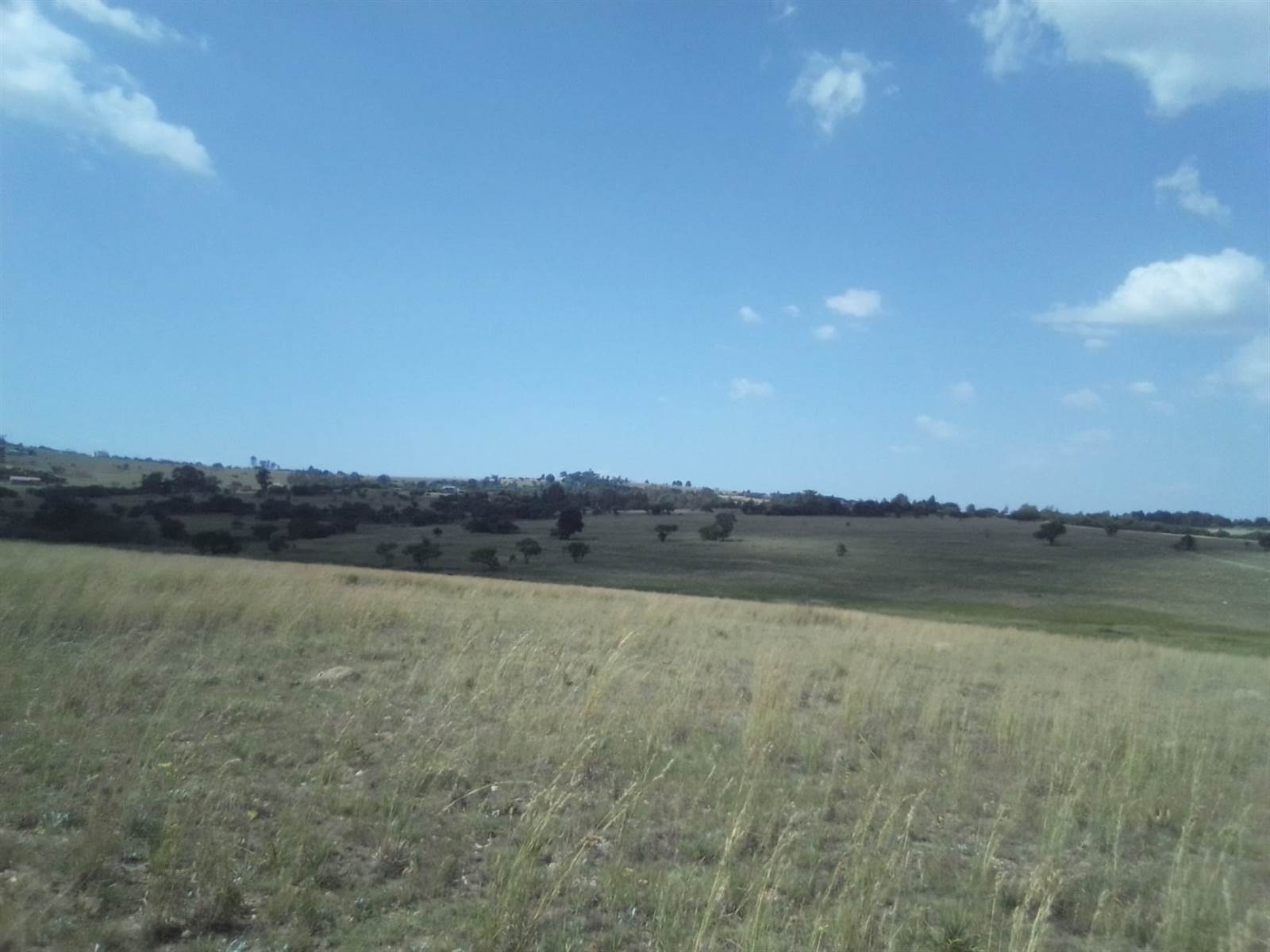 20 ha Land available in Laezonia photo number 6