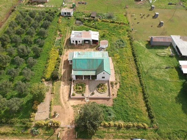 4 347 m² Smallholding