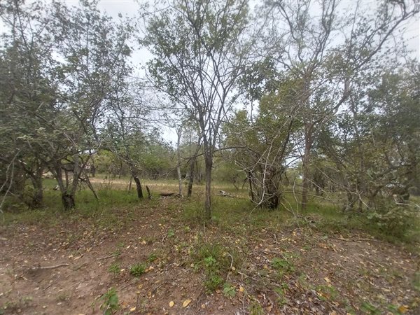 1650 m² Land available in Marloth Park